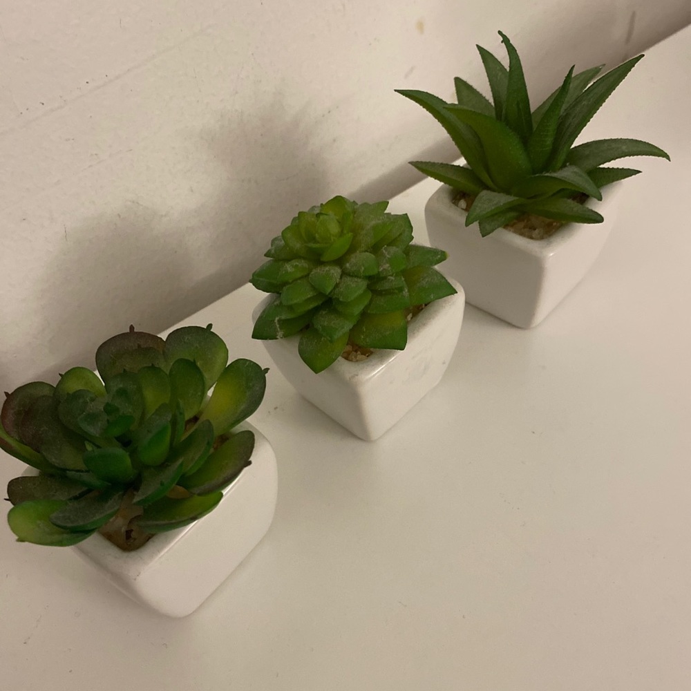 3 mini FAKE succulents